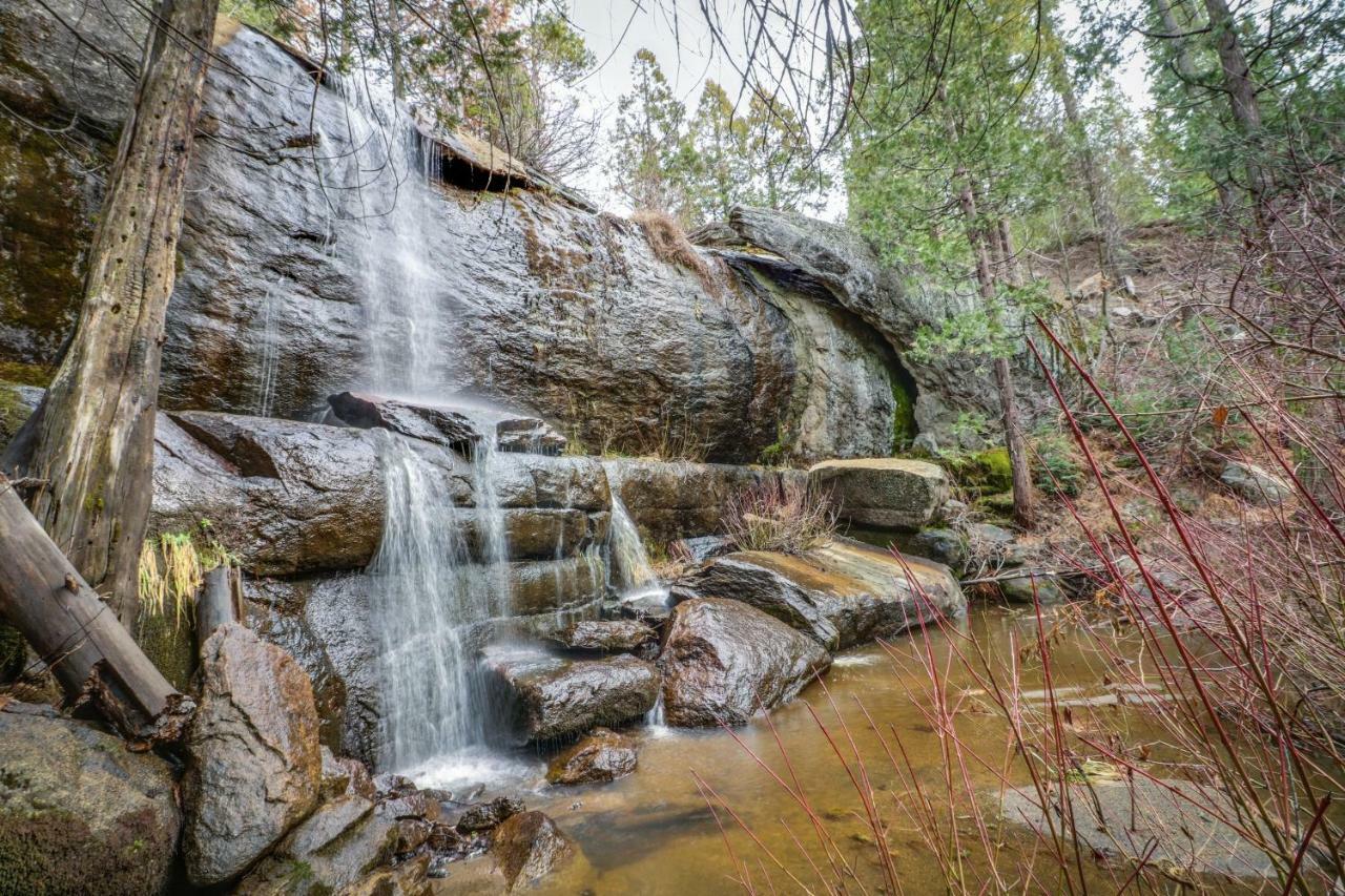 Forest Falls Shaver Lake Eksteriør billede